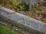 image of grave number 919831